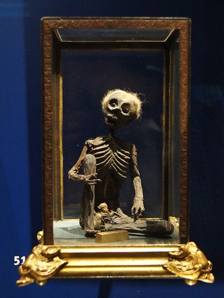 Historisches Modell des Homunkulus, Kunstkammer im Landesmuseum Württemberg (Leihgabe des SMNS)