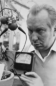 Scientology Erfinder L. Ron Hubbard bei einem telepathischen Backster-Experiment mit Tomaten