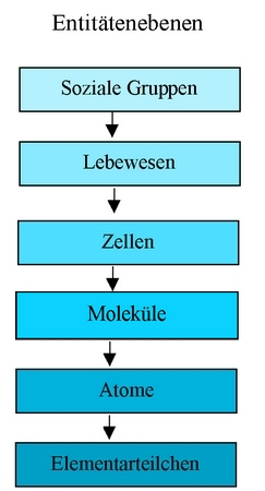 Putnam-Oppenheim-Schema