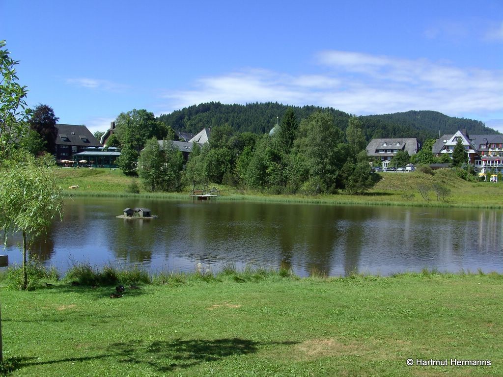 Dorfteich in Hinterzarten    © Hartmut Hermanns