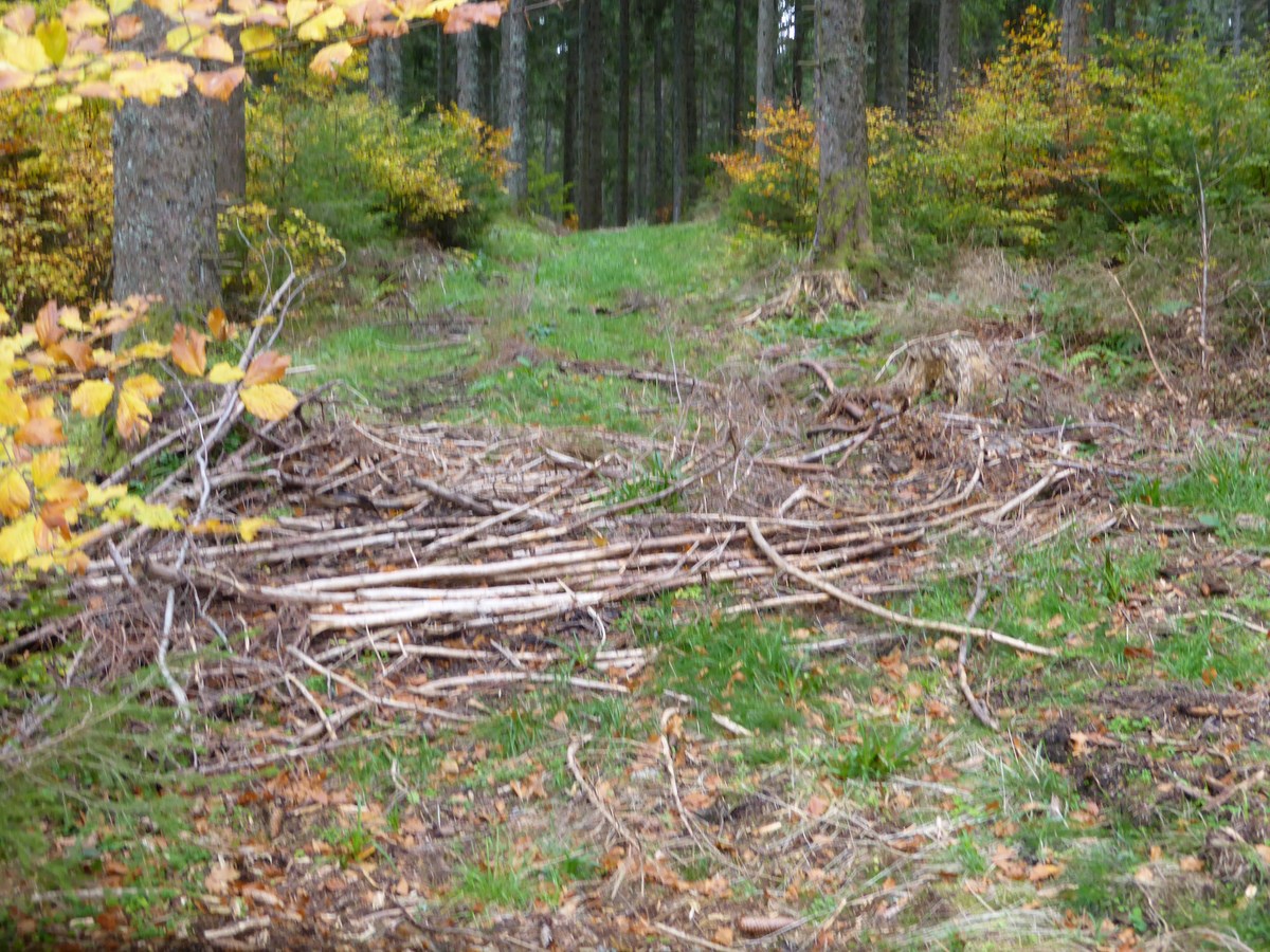 Ehemaliger Hotzenweg Richtung Bengelweg ? © Hartmut Hermanns