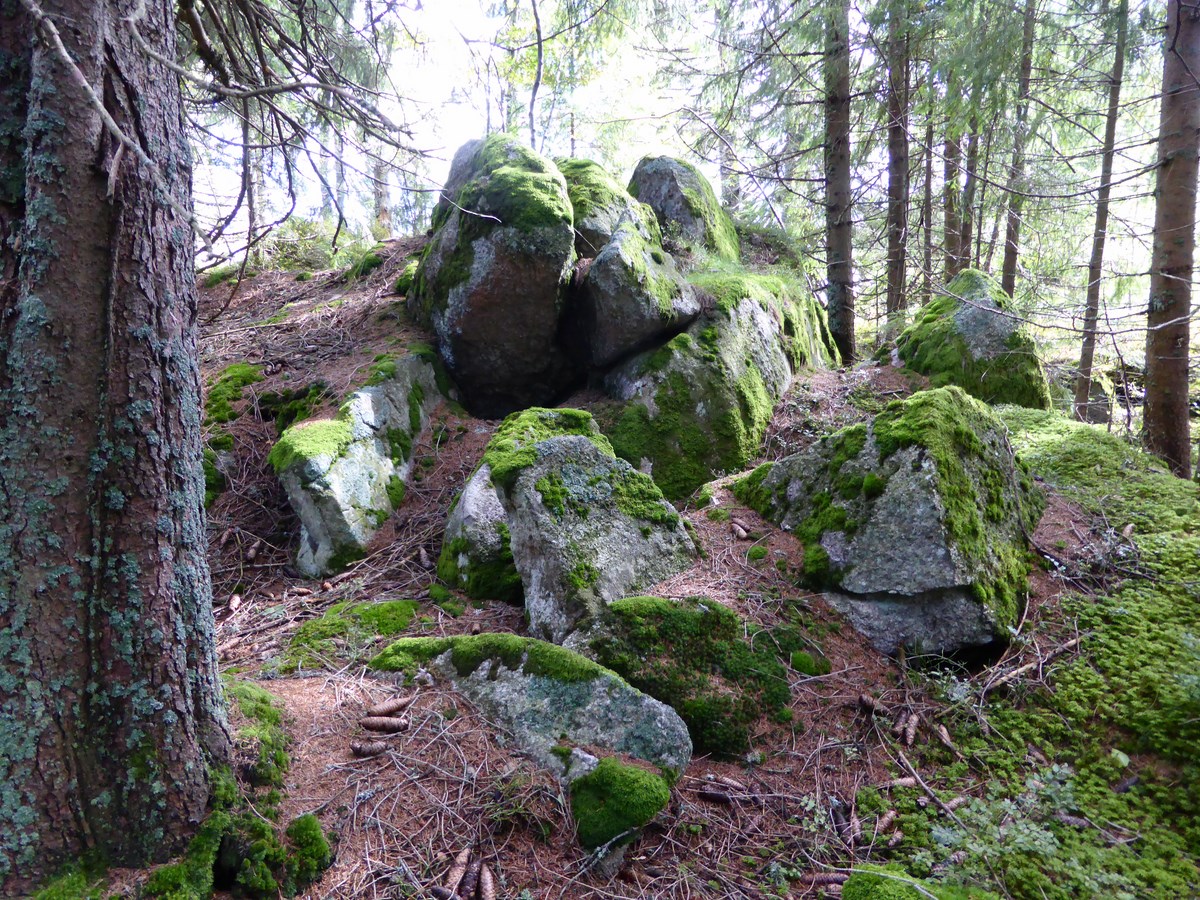 Steinensemble beim Weidberg © Hartmut Hermanns