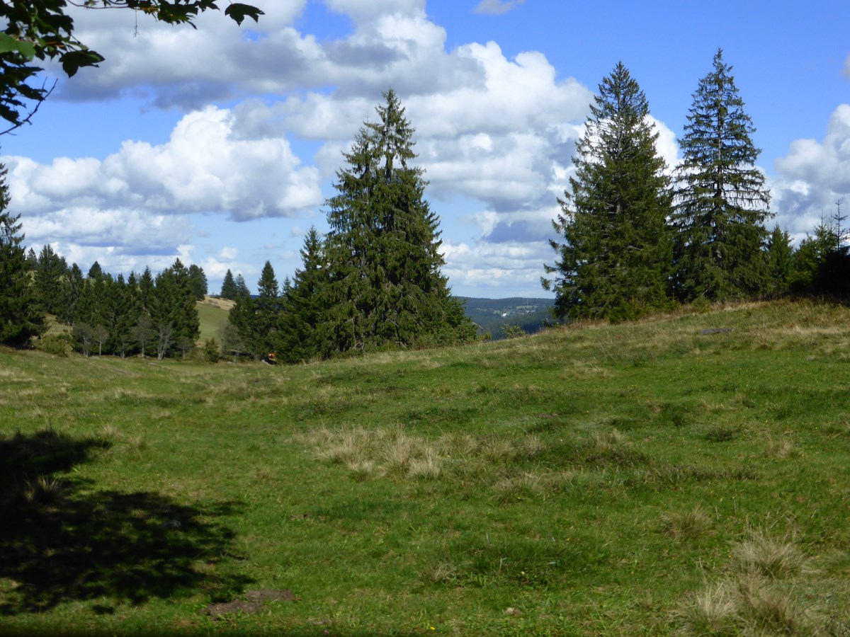 Beim Schmalzberg © Hartmut Hermanns