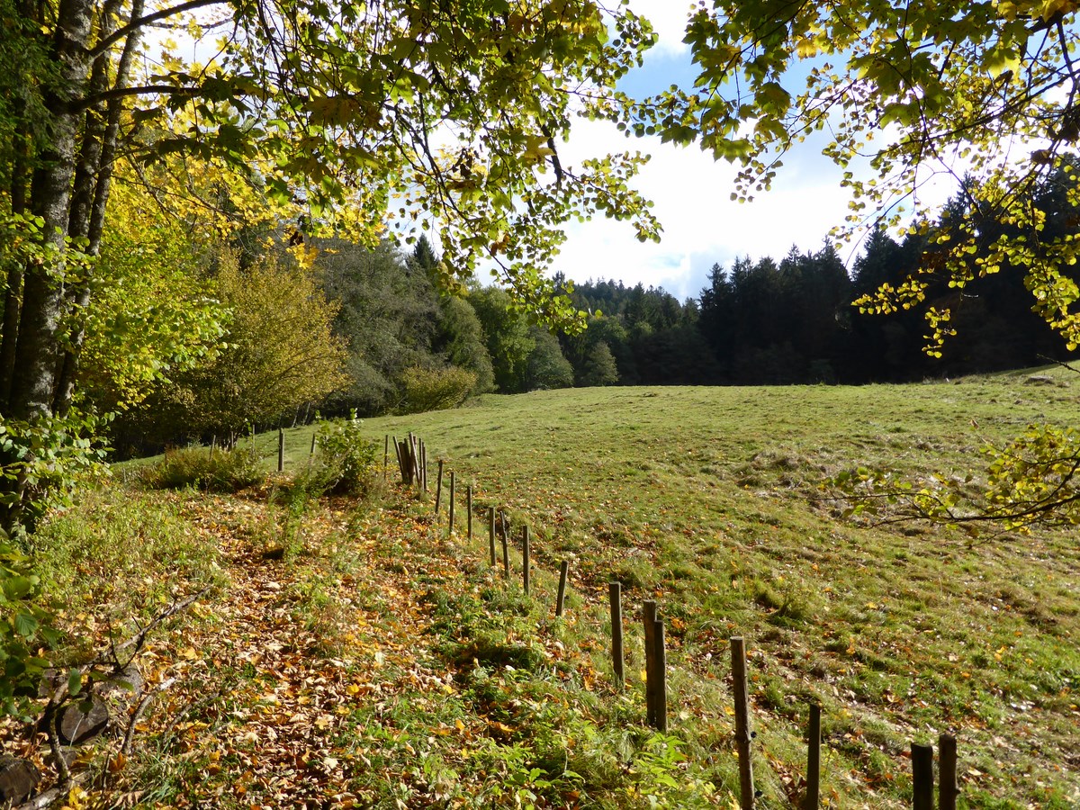 Aufstieg nach Häusern © Hartmut Hermanns