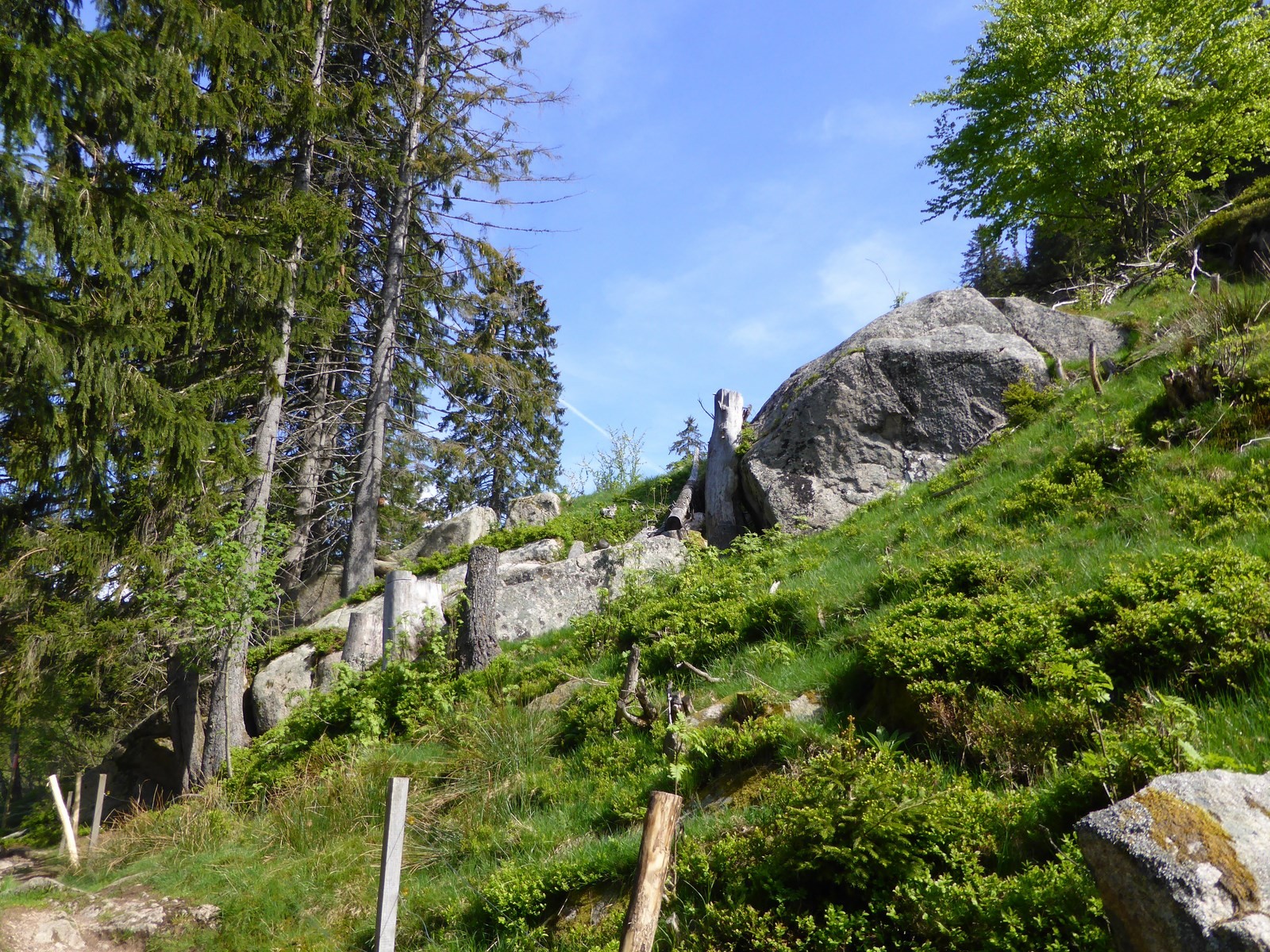 Granitbrocken im Weidfeld  Copyright Hartmut Hermanns