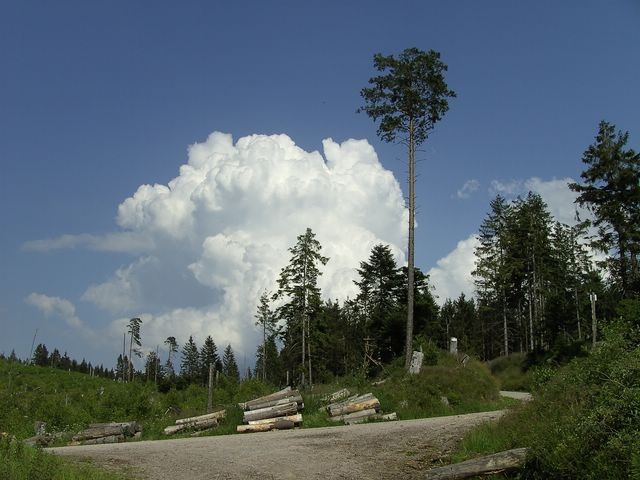 Gewitter vor dem Abstieg ins Murgtal   © Hartmut Hermanns