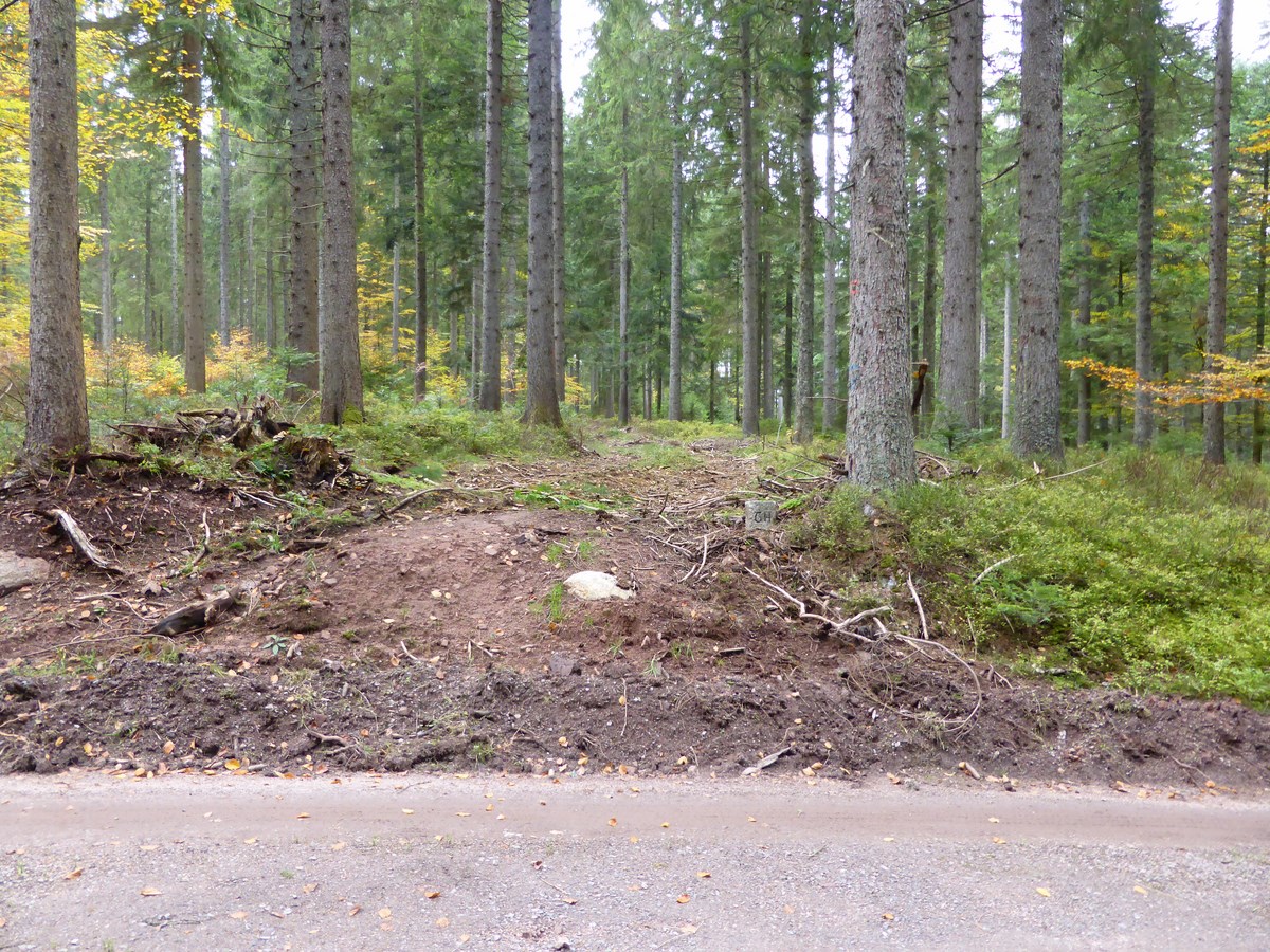 Der Bengelweg ist erreicht © Hartmut Hermanns