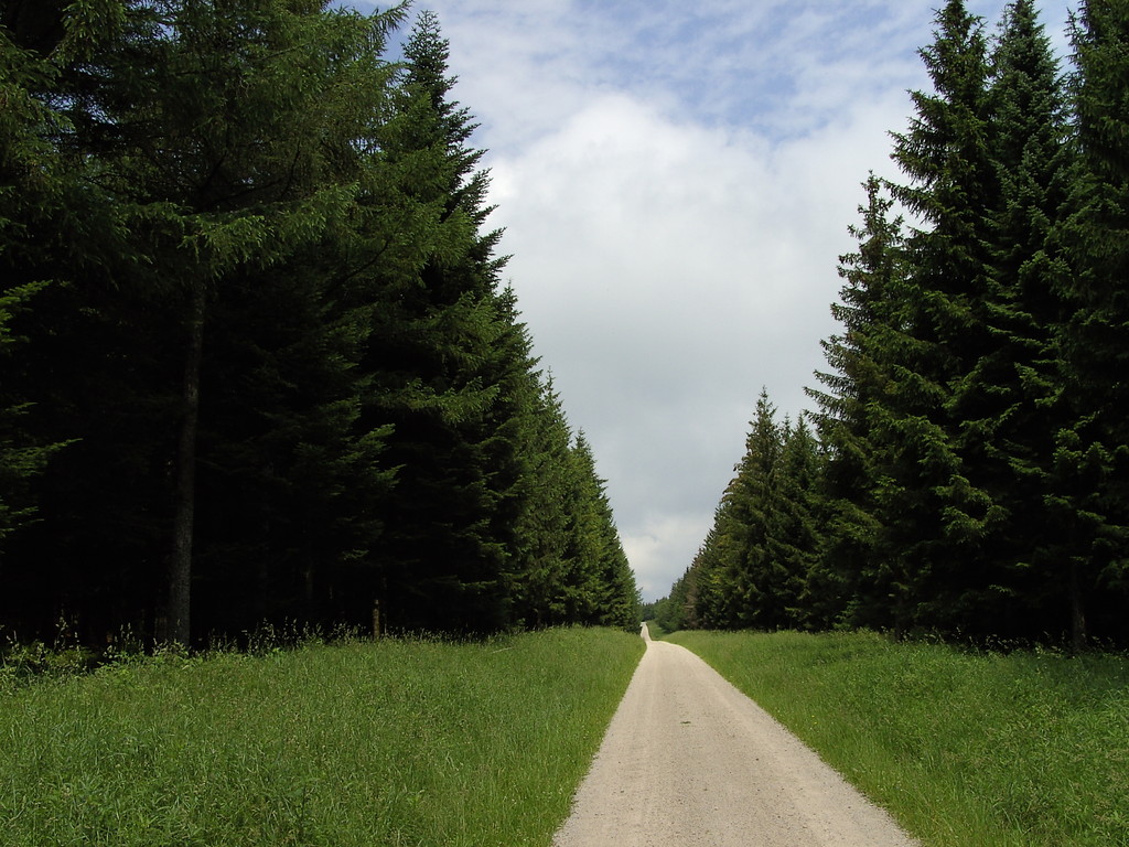 Forstautobahn vor Kaltenbronn  © Hartmut Hermanns