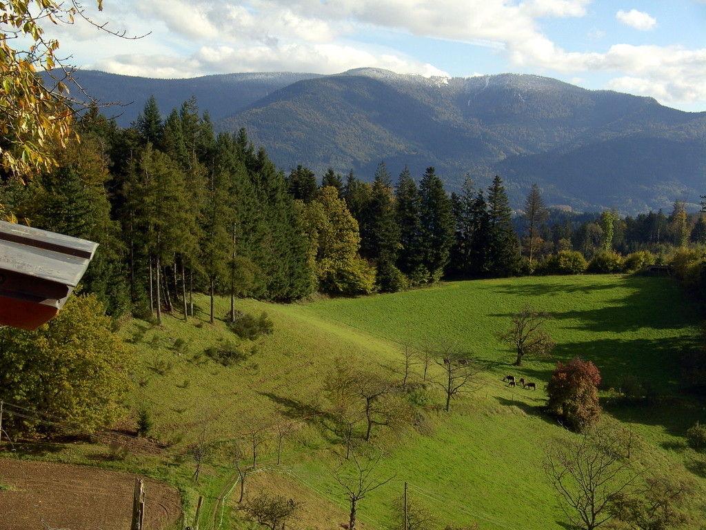 Blick zum Kandel   © Hartmut Hermanns