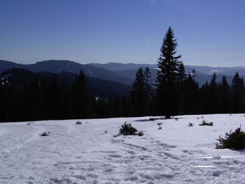 Blick von der Sonnenbank am Stübenwasen