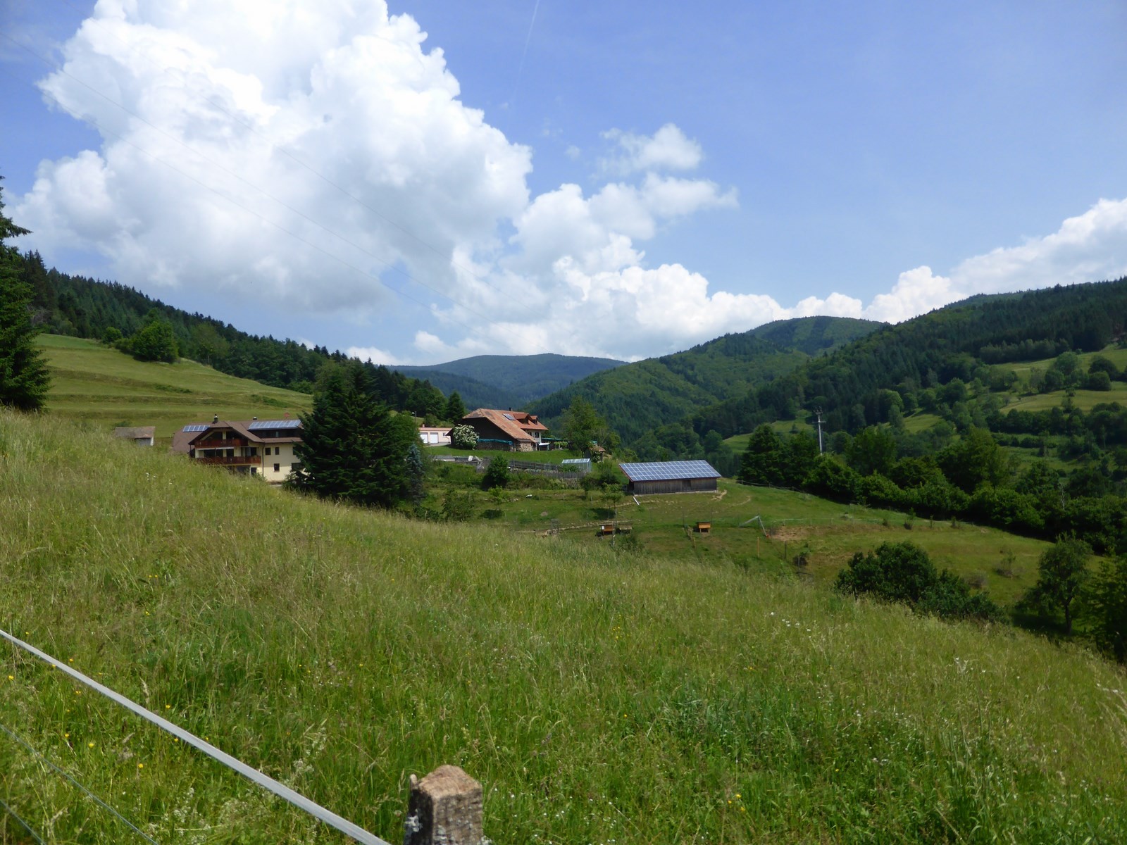 Blick ins Fischenbergtal mit Köhlgarten © Hartmut Hermanns