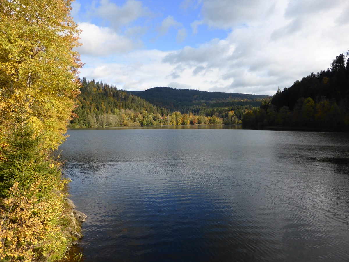 Alb-Stausee © Hartmut Hermanns