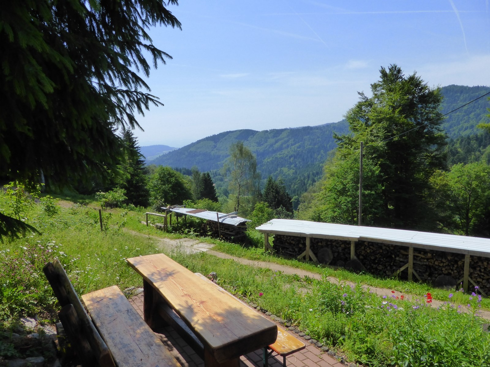 Blick ins Tal des Kneblezbächle © Hartmut Hermanns