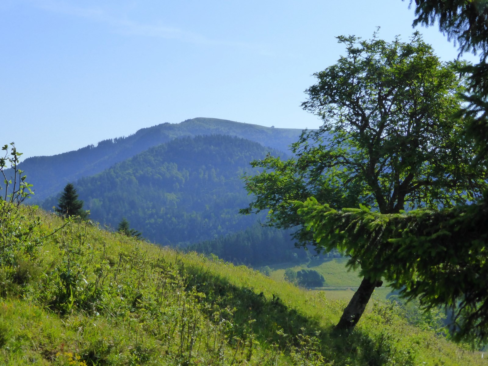 Blick zum Belchen © Hartmut Hermanns