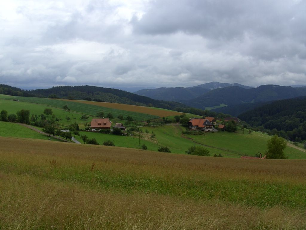 Blick zum Kinzigtal   © Hartmut Hermanns