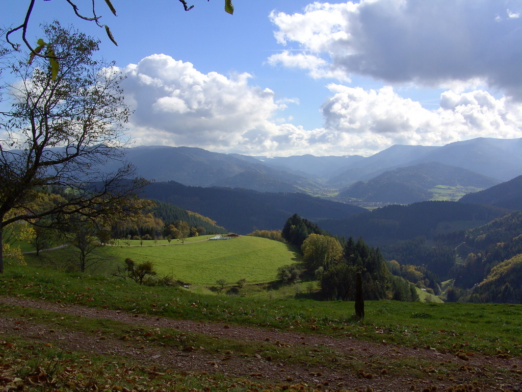 Blick auf das Simonswälder Tal   © Hartmut Hermanns