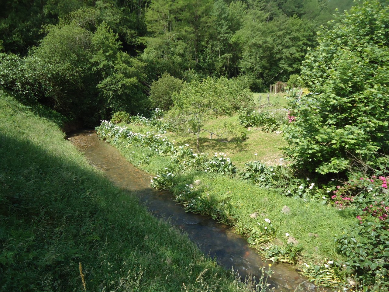 bord de ruisseau prés du gite hegia a Ayherre au pays basque