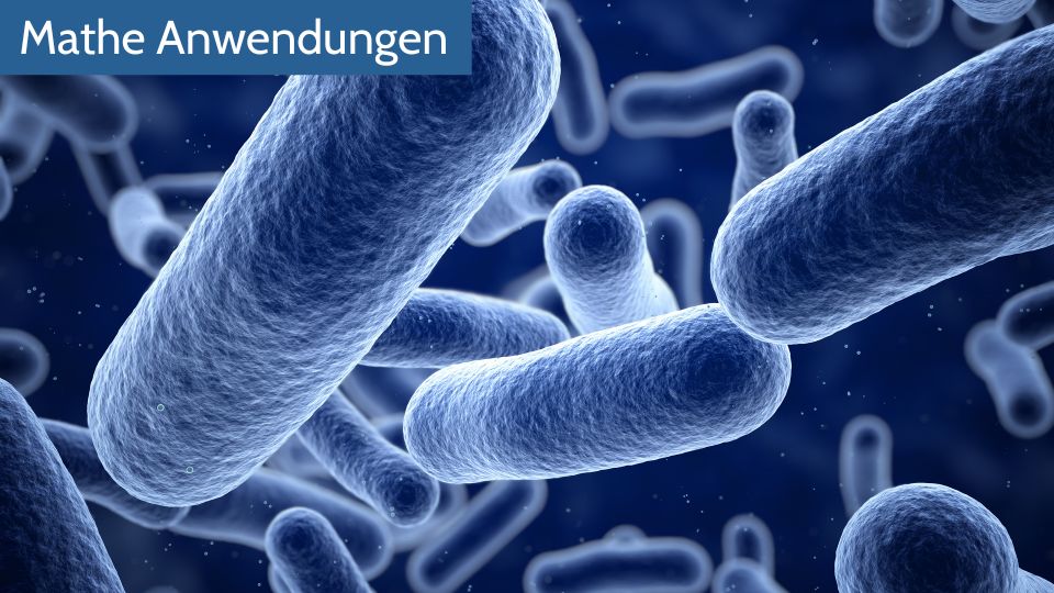 Tödliche Mathematik der Bakterien