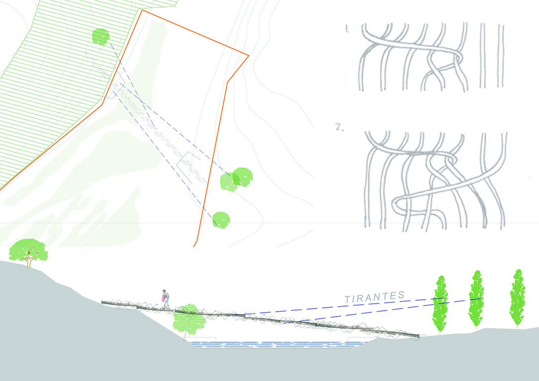 pont tressé: troncs, cordage