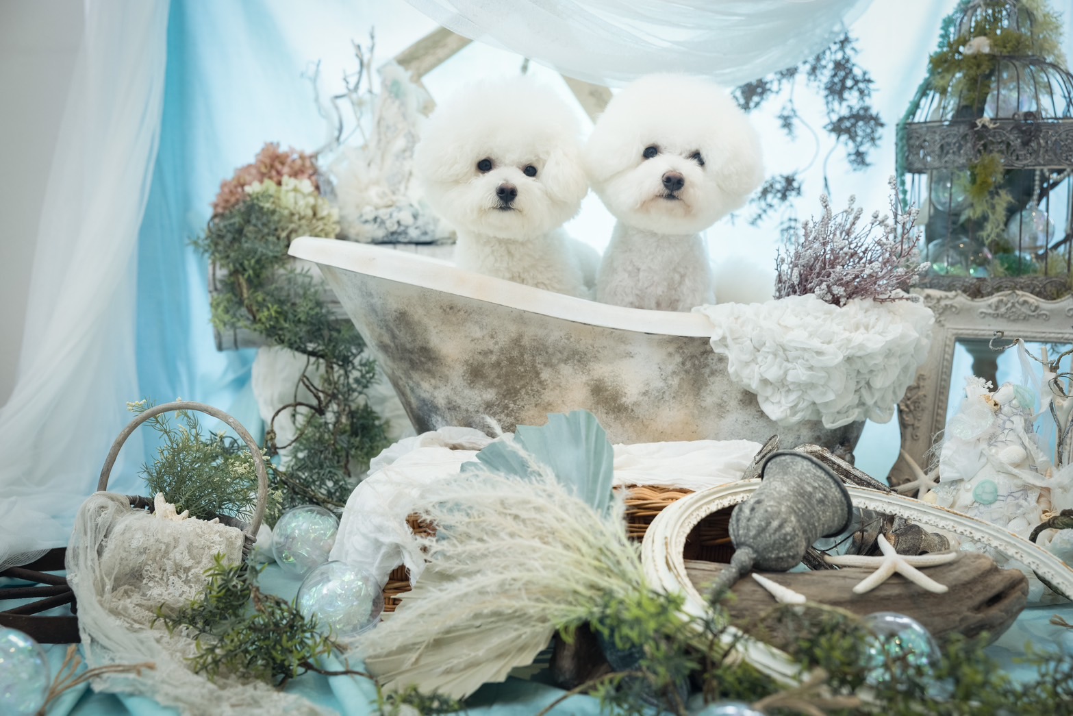 愛おしいワンワン ぬいぐるみ アーティストベア 海外作家様 ハンドメイド 犬 愛おしいワンワン ぬいぐるみ 海外作家様 ハンドメイド アーティスト