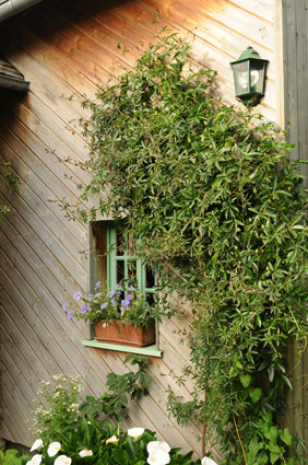 Extension " ossature bois" de la maison d'hôtes