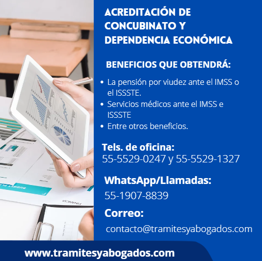 JUICIO DE CONCUBINATO PROMOVIDO ANTE JUZGADO DE LO FAMILIAR POSTERIOR AL FALLECIMIENTO DE PENSIONADO