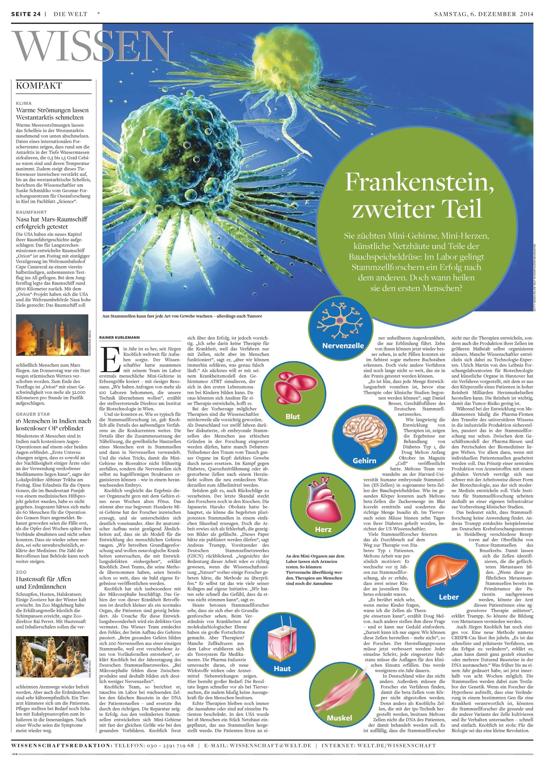 uebersichtueberentwicklungbeistammzellforschung Rainer Kurlemann