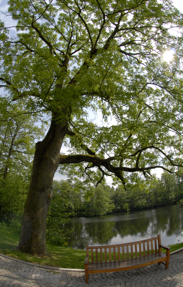 Wasserburg Rindern Außenbereich