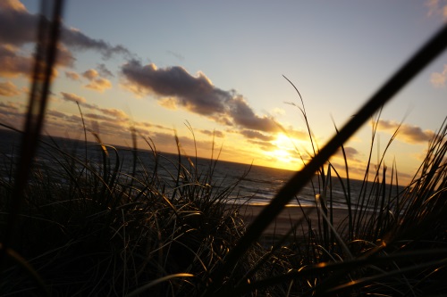 Sonnenuntergang auf Fehmarn // Photo by Fiona Lynn Hafner