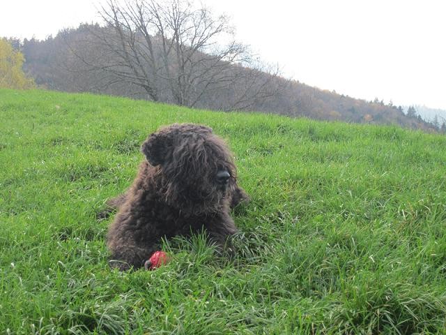 Leika wie immer mit Ball