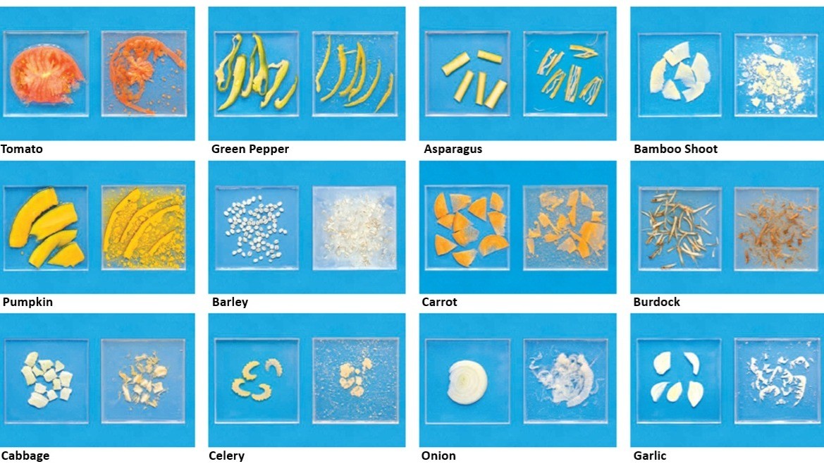 Pioneering Enzyme Production through Solid-State Fermentation : See You at FIE Frankfrut Next Week