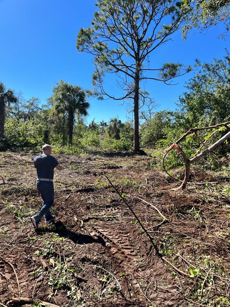 Lot cleanup