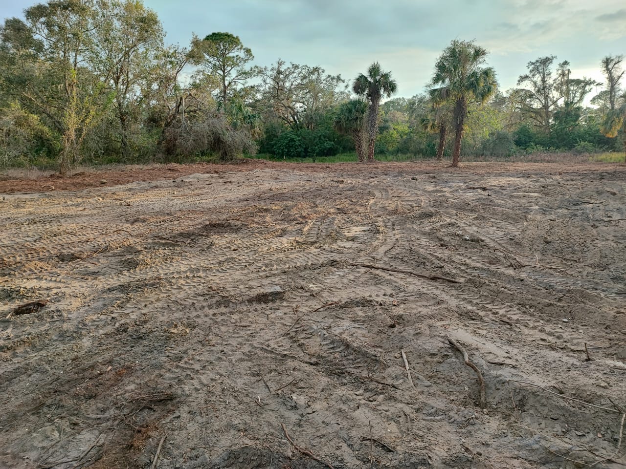 Lot cleanup