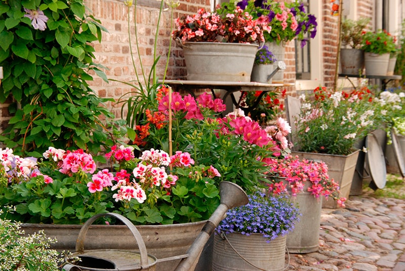 Alles für den Garten HEIMWERK Discount Baumarkt