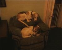 Bramston and chanter