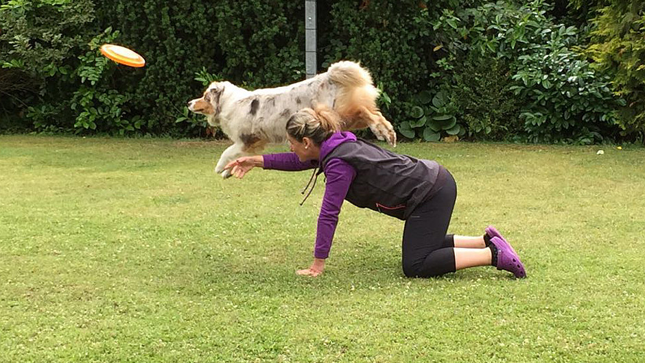 © DER LILA HUND Holly beim Frisbee