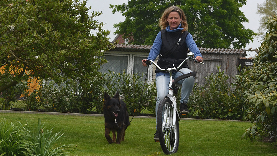 © DER LILA HUND Fee beim Fahrradtraining