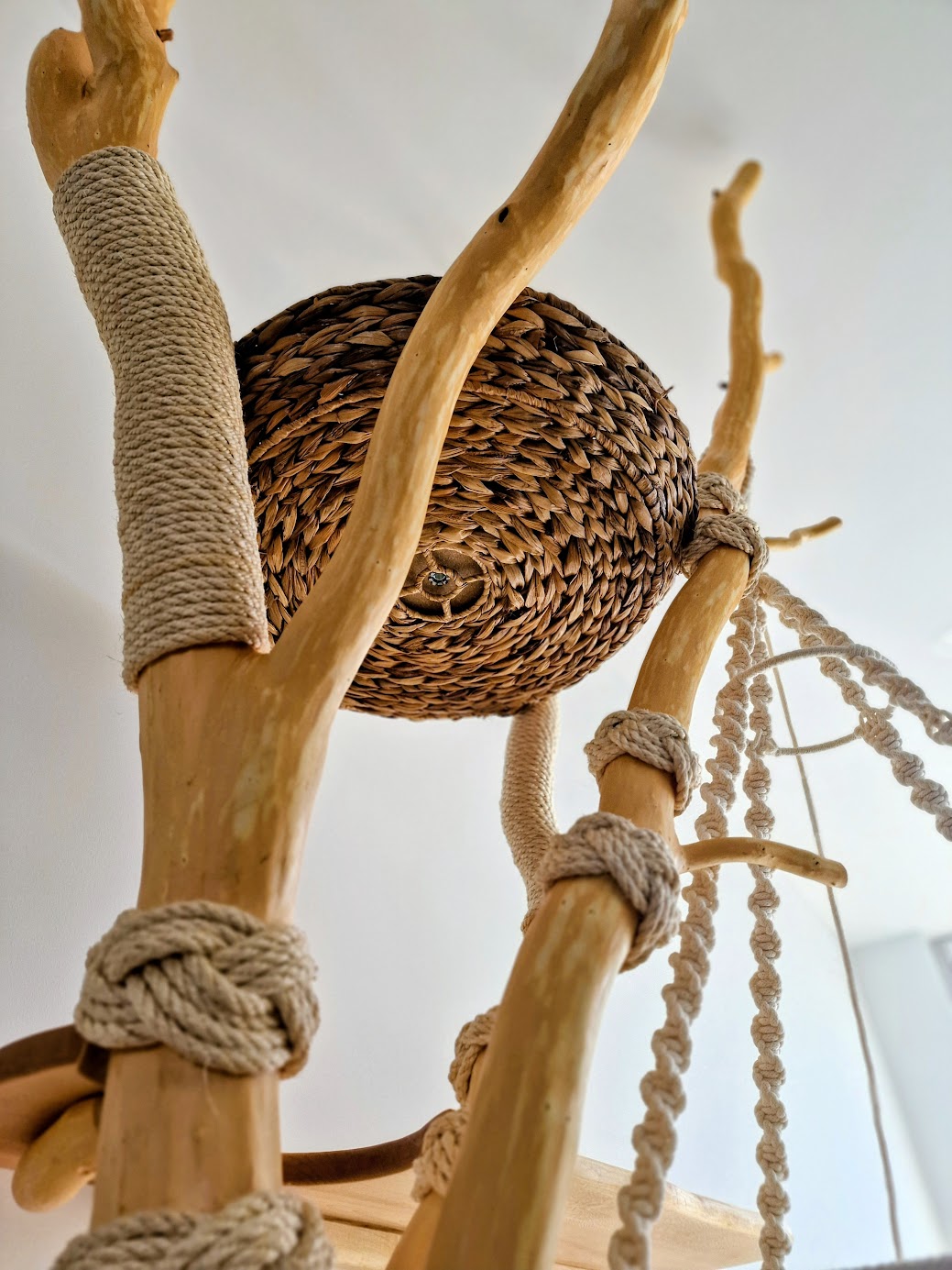 Katzenkorb für Katzen im Naturkratzbaum