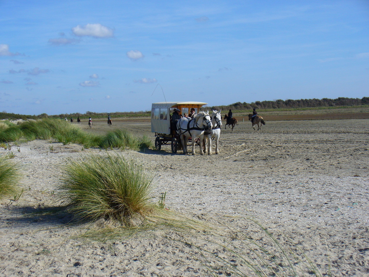 Le Marquenterre lors du week end de l'environnement 2008