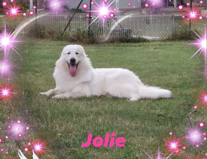 Jolie a 9 mesi