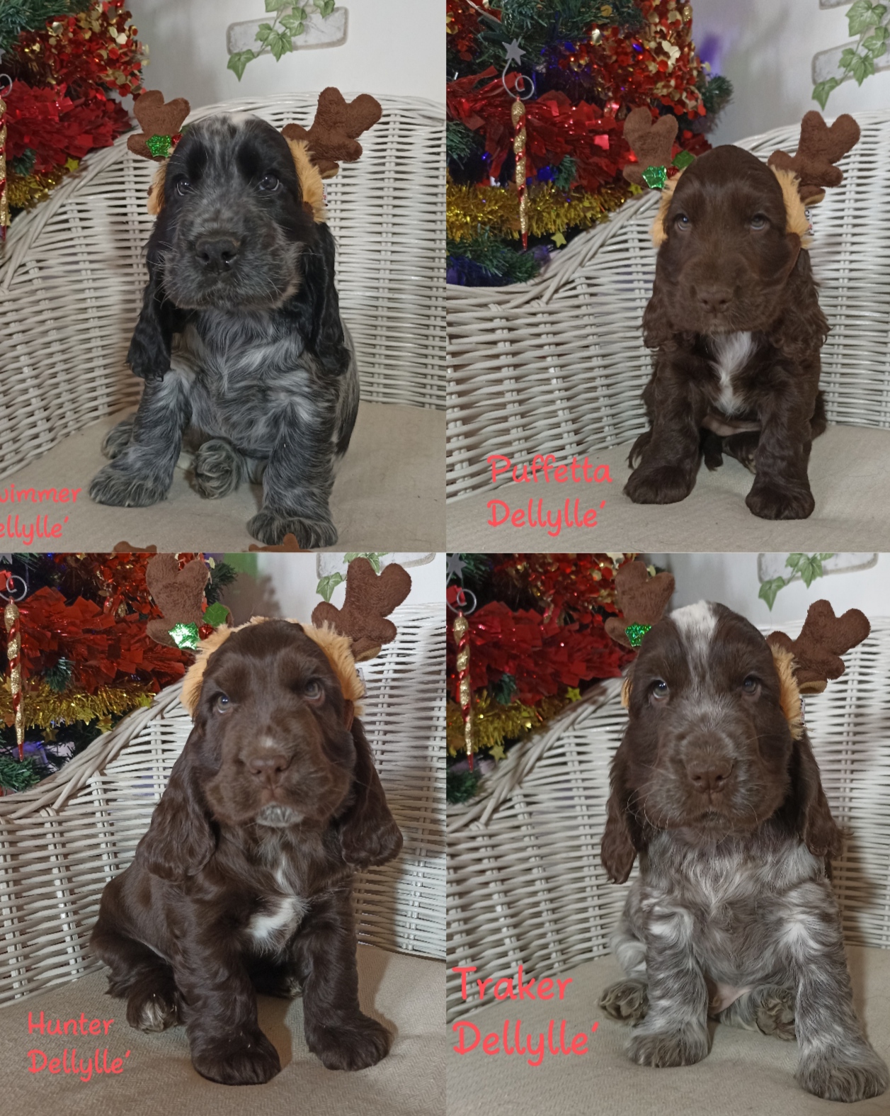 I Puffi 💙, da sx: Swimmy, Puffetta, sotto Hunter e Traker