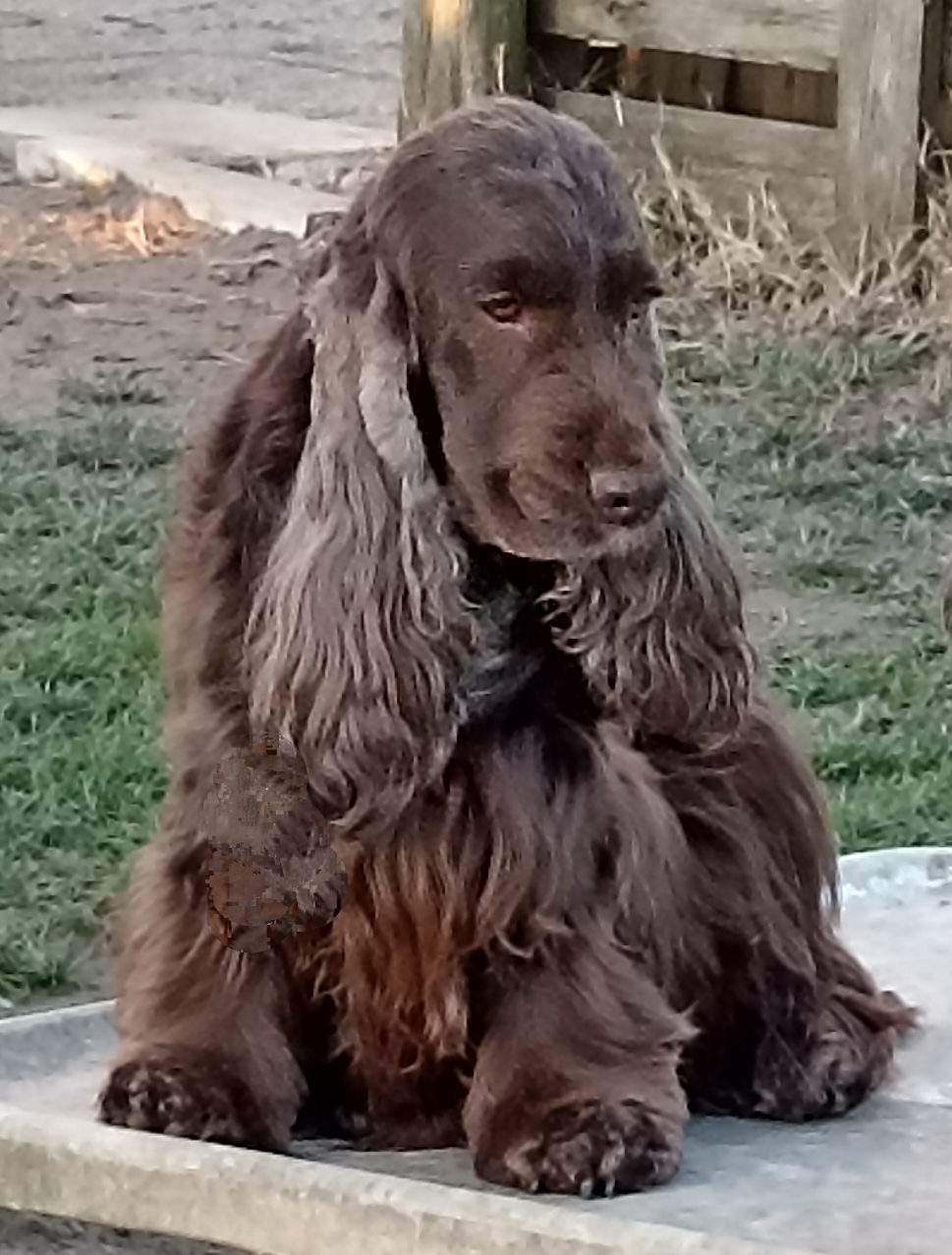La nostra bella cioccolatina Tilu' 