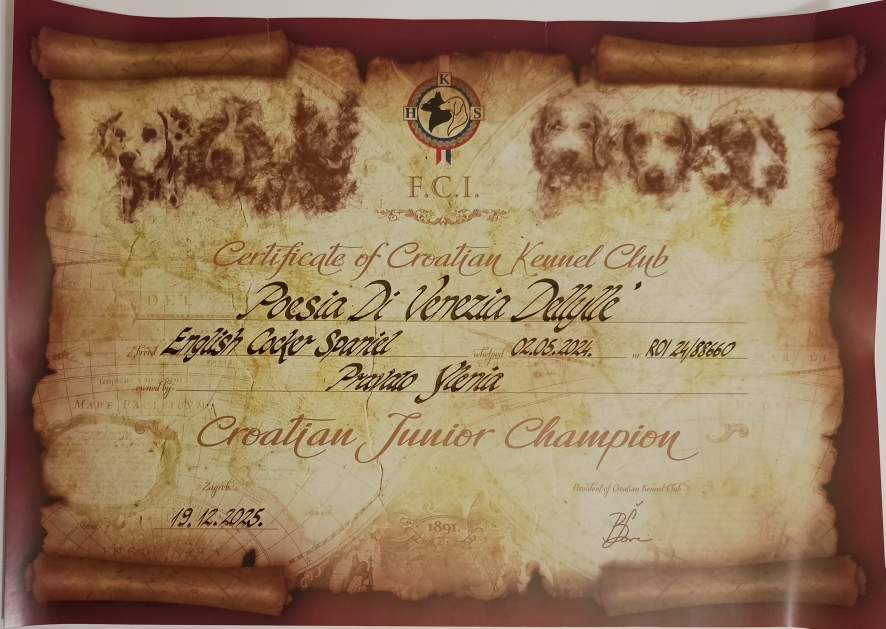 Diploma di Giovane Campionessa Croata 🏆📜