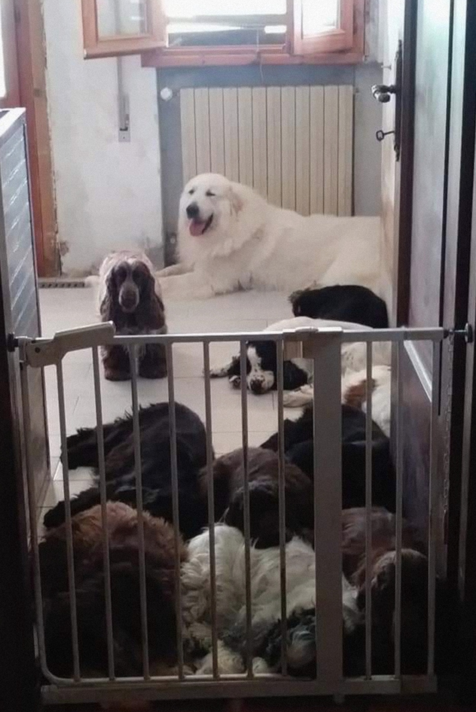 Quando lavo i pavimenti e loro tutte ammassate li, tu eri sempre presente