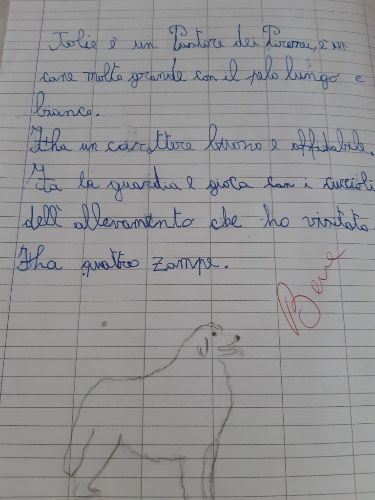 Ecco il tema di un bimbo venuto a trovarci