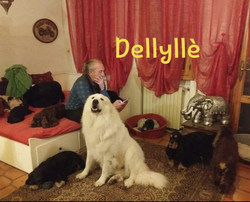 La mia "famiglia" ha cui hai preso prepotentemente parte