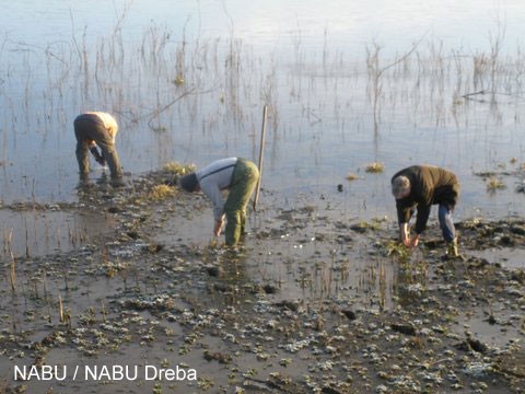 Naturschutzgebiet Dreba-Plothen war Ziel eines Arbeitseinsatzes