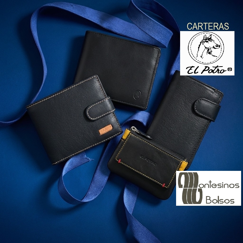 Cartera Billetero