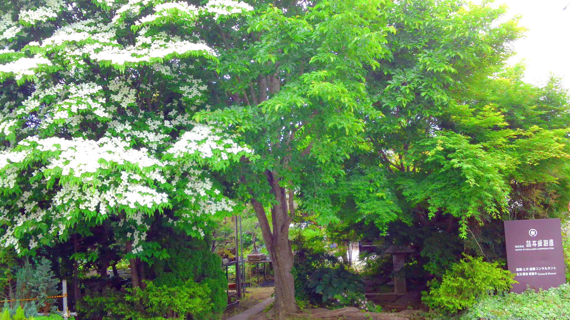 株式会社諸井緑樹園