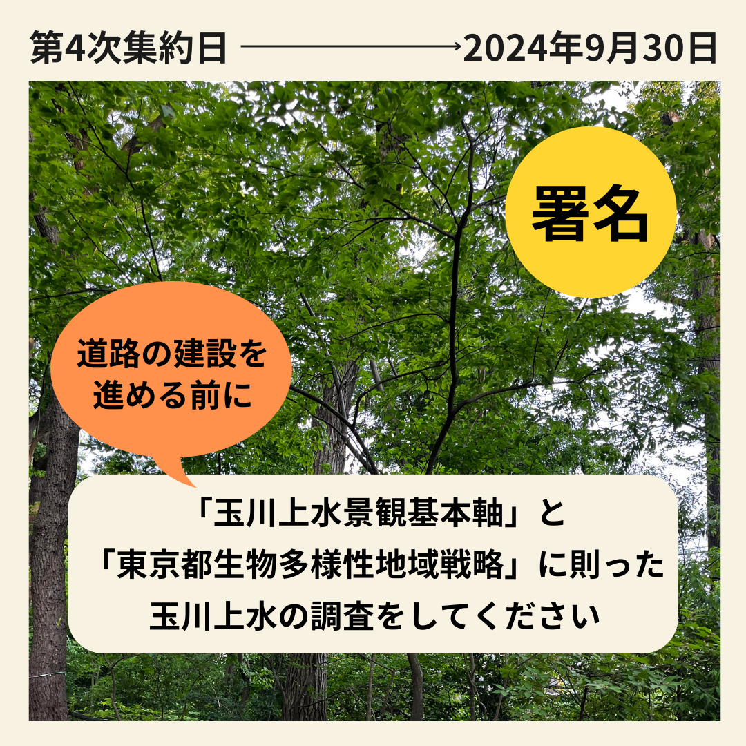 街頭署名の予定です!場所:小平中央公園の東鷹の橋 - ちむくい 街頭署名の予定です!場所:小平中央公園の東鷹の橋 - ちむくい